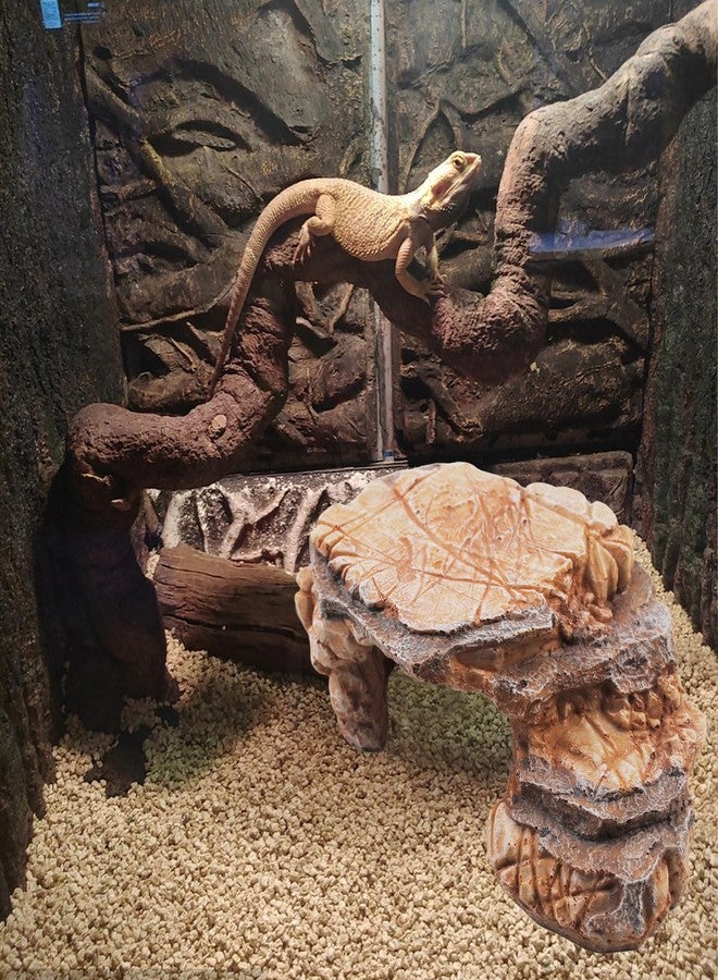 MUYG Turtle Basking Climbing Platform Resin Basking Platform for Turtles Aquarium Fish Tank Ornament Reptile Climbing Ramp Decorations Tortoise, Gecko and Beard Dragon - Image 4