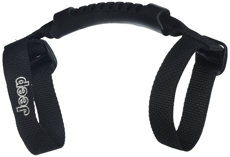 Chrysler Grab Handles - Image 2