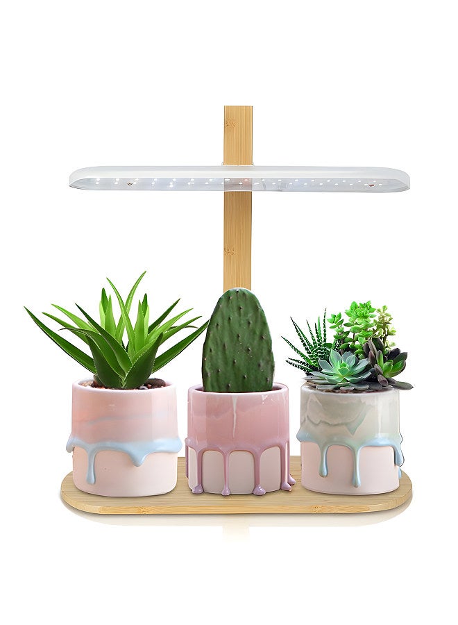 Generic LED Full Spectrum Grow Light 10W Height Adjustable Tabletop Plant Light for Indoor Plants with 2H/4H/8H Timer 4 Dimmable Brightness for Various Plants Growth  - Image 1