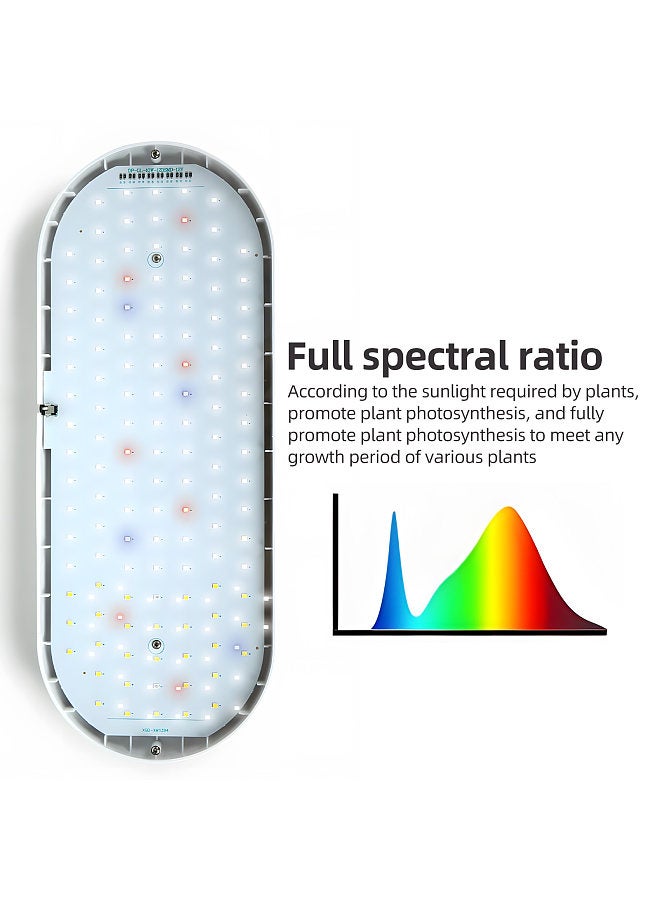 Generic LED Full Spectrum Grow Light 10W Height Adjustable Tabletop Plant Light for Indoor Plants with 2H/4H/8H Timer 4 Dimmable Brightness for Various Plants Growth  - Image 3