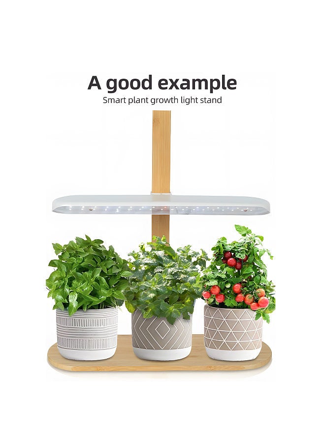 Generic LED Full Spectrum Grow Light 10W Height Adjustable Tabletop Plant Light for Indoor Plants with 2H/4H/8H Timer 4 Dimmable Brightness for Various Plants Growth  - Image 5
