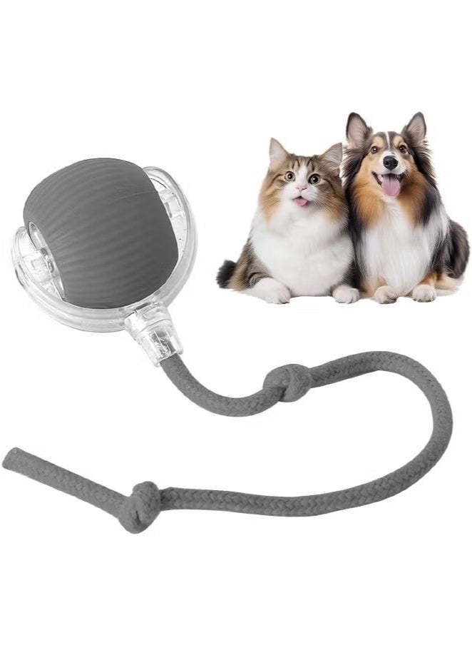 Interactive Rolling Cat Toys Ball, Interactive Rolling Dog Ball, Motion Activate Rolling Pet Toys, Automatic Self Moving Dog/Cat for Indoor Cats Toys Fast Rolling on Carpet - Image 1