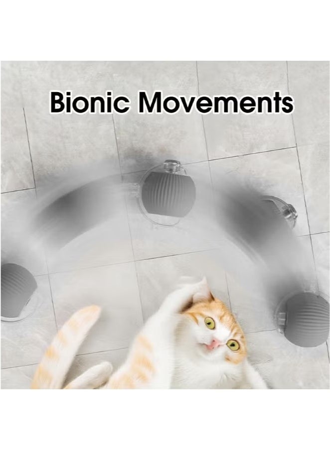 Interactive Rolling Cat Toys Ball, Interactive Rolling Dog Ball, Motion Activate Rolling Pet Toys, Automatic Self Moving Dog/Cat for Indoor Cats Toys Fast Rolling on Carpet - Image 5