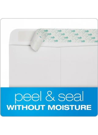 Quality Park 9" x 12" Self-Sealing Catalog Envelopes, for Mailing, Organizing and Storage, White Wove, Heavy 28-lb Paper, 100 Per Box (QUA44582) - pzsku/Z43E11F0C63B2468616D3Z/45/_/1731077971/ed4b662d-5538-4504-8605-d1f7b3e163b9