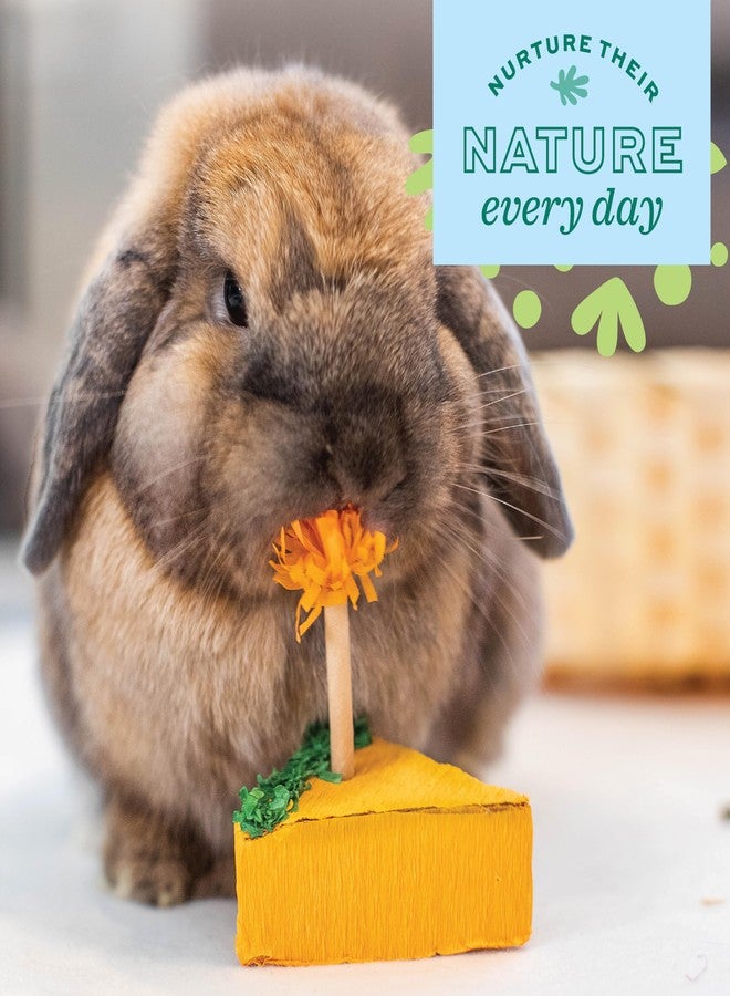 Oxbow Enriched Life Birthday Party Pack - Small Pet Toy - Great for Guinea Pigs, Rabbits, and Other Small Animals - Image 5