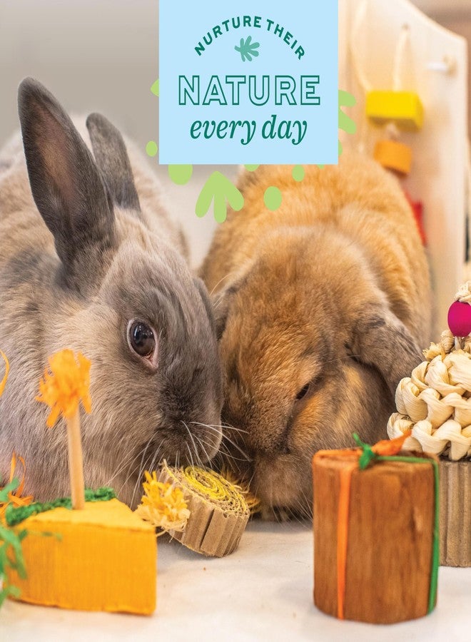 Oxbow Enriched Life Birthday Party Pack - Small Pet Toy - Great for Guinea Pigs, Rabbits, and Other Small Animals - Image 3