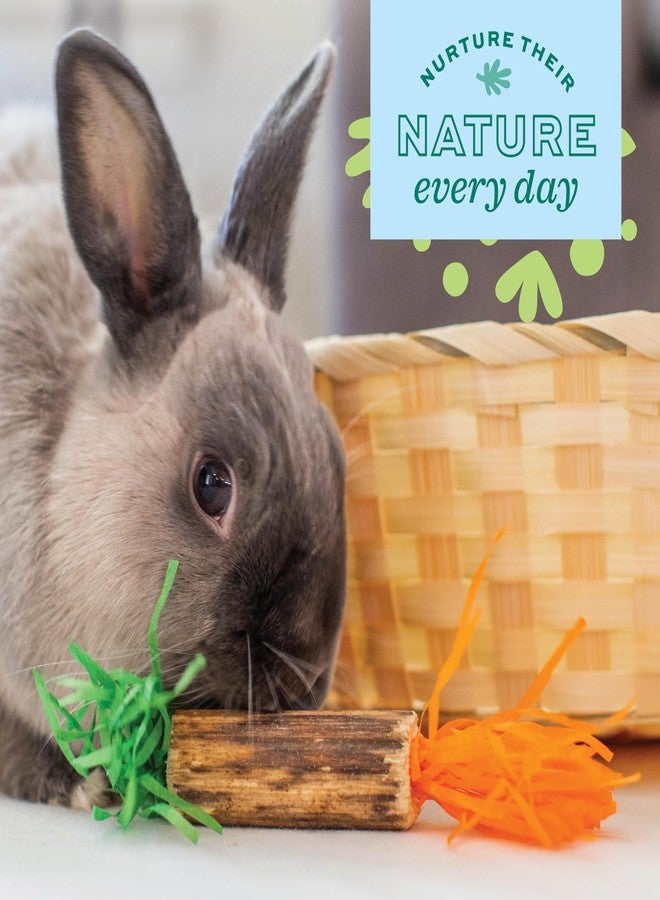 Oxbow Enriched Life Birthday Party Pack - Small Pet Toy - Great for Guinea Pigs, Rabbits, and Other Small Animals - Image 4