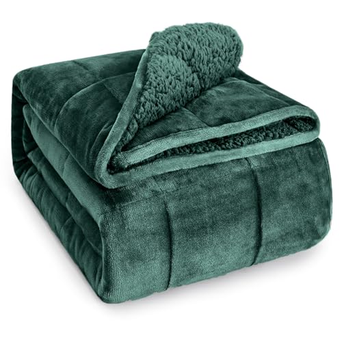 Wemore Sherpa Fleece Weighted Blanket for Adult, 15 lbs Dual Sided Cozy Fluffy Heavy Blanket, Ultra Fuzzy Throw Blanket with Soft Plush Flannel Top, 60 x 80 inches, Green on Both Sides - Image 1