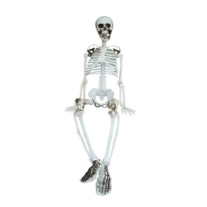 36 HALLOWEEN SKELETON FULL BODY LIFE LIKE SKELETON MODEL WITH MOVABLE JOINTS FOR HALLOWEEN DECORATION