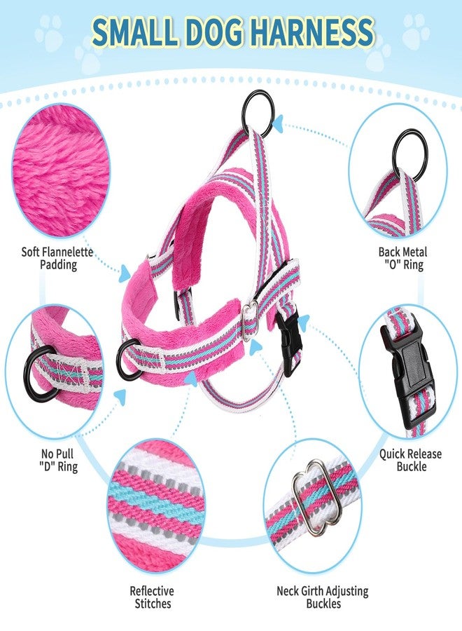 Lukovee No Pull Dog Harness and Leash Set, Soft Padded Small Dog Harness, Neck & Chest Adjustable Reflective Vest Puppy Harness with 4ft Lightweight Anti-Twist Dog Leash for Small Dogs (S, Fuschia) - Image 2