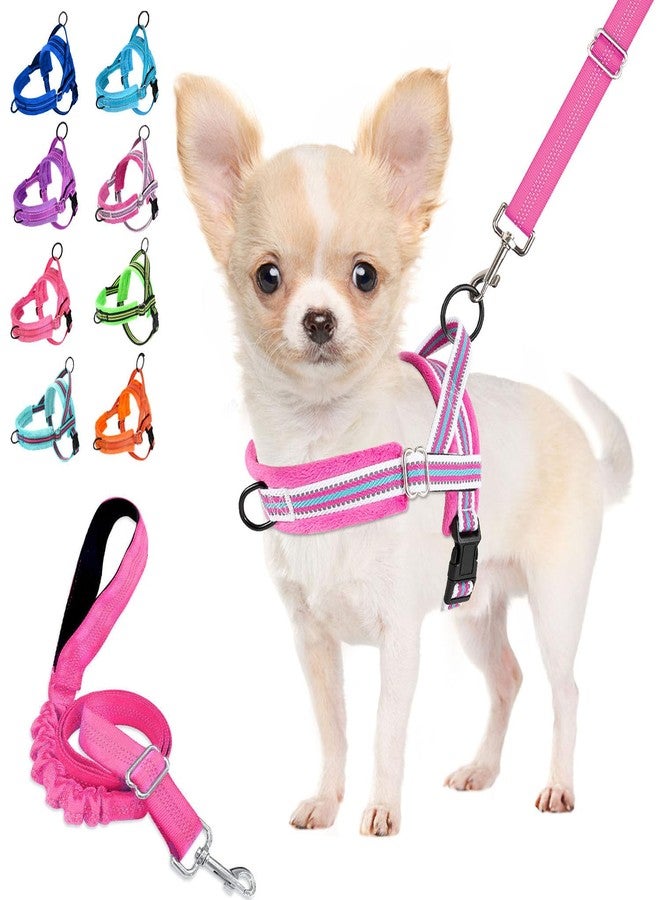 Lukovee No Pull Dog Harness and Leash Set, Soft Padded Small Dog Harness, Neck & Chest Adjustable Reflective Vest Puppy Harness with 4ft Lightweight Anti-Twist Dog Leash for Small Dogs (S, Fuschia) - Image 1