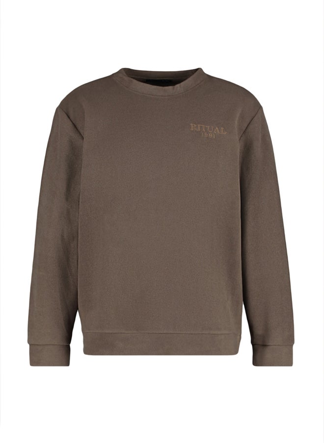 trendyol Brown Regular/Normal Cut Crew Neck Anti-Pilling Fleece Sweatshirt - Image 5