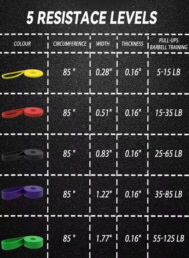 Estleys Resistance Bands, 5 Pack Pull-up Bands, Fabric Resistance Bands for Legs, Workout Bands, Exercise Bands Set for Fitness, Working Out, Body Stretching, Physical Therapy - Image 3