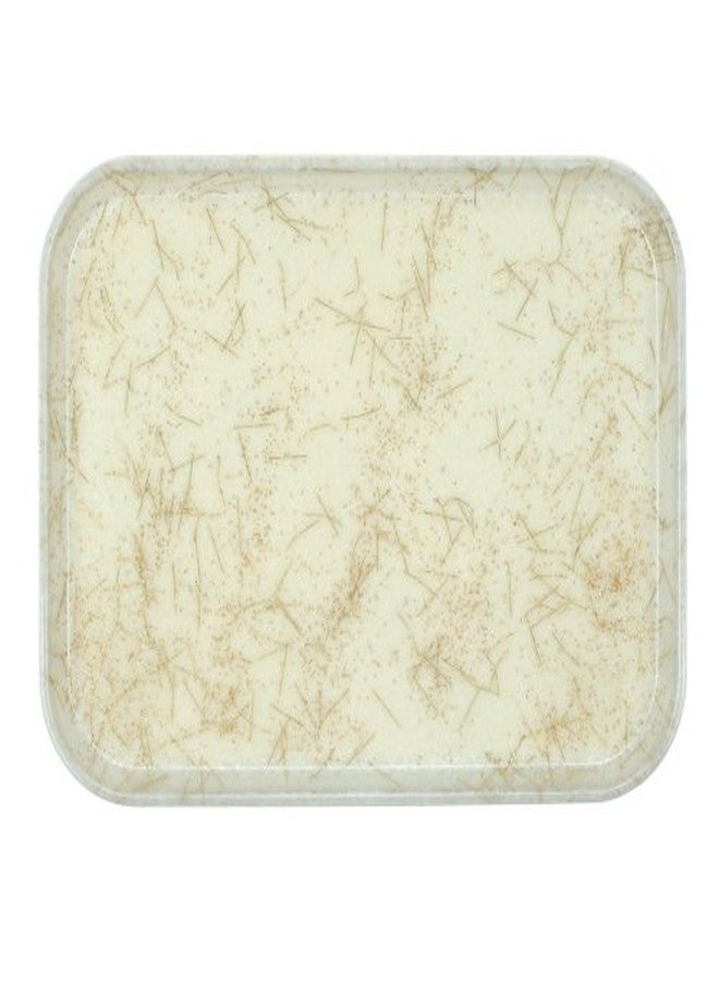 Cambro EKM013AG Camtray (FRP) 1418 Anti-Parchment Gold, USA - Image 2