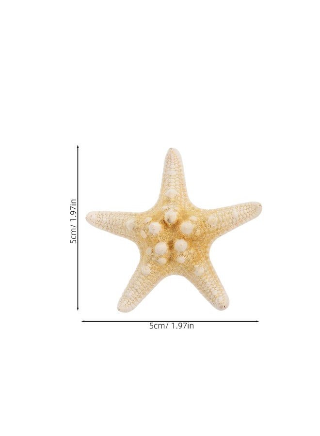 Frcolor 2pcs Starfish Hair Clip Handmade Natural Sea Star Hair Clip Beach Hairpin Hair Accessories for Women Girls - Image 4