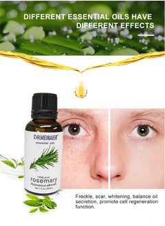 DR.MEINAIER Pure Rosemary Essential Oil Clear 30ml  - Image 3