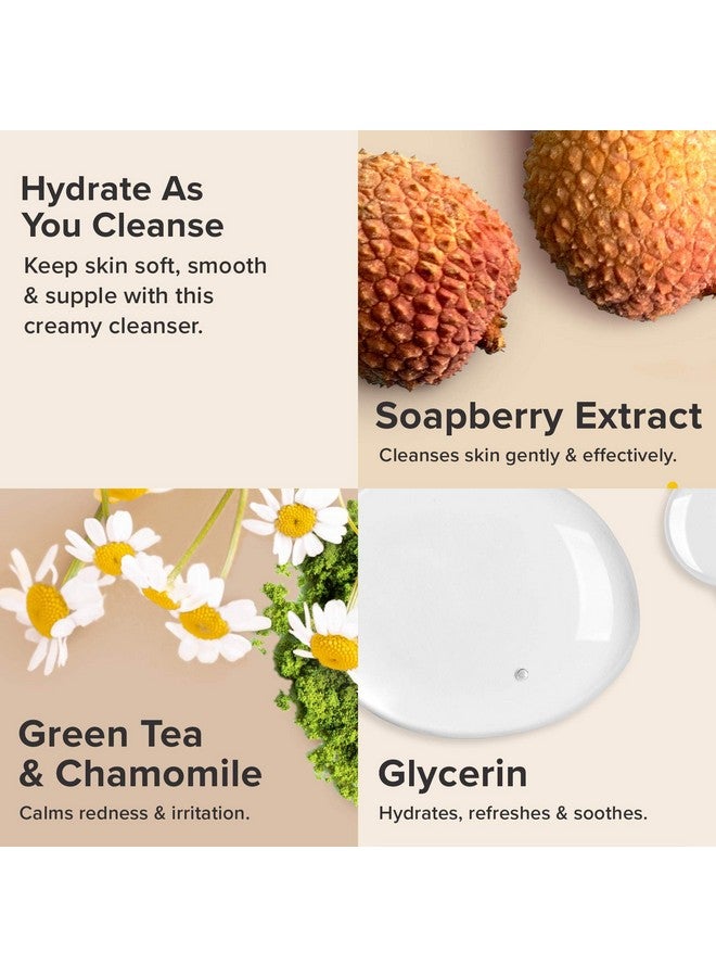 باولاز تشويس منظف مرطب مقاوم للشيخوخة بخلاصة الشاي الأخضر والبابونج، للبشرة الجافة، 190 مل - Image 3