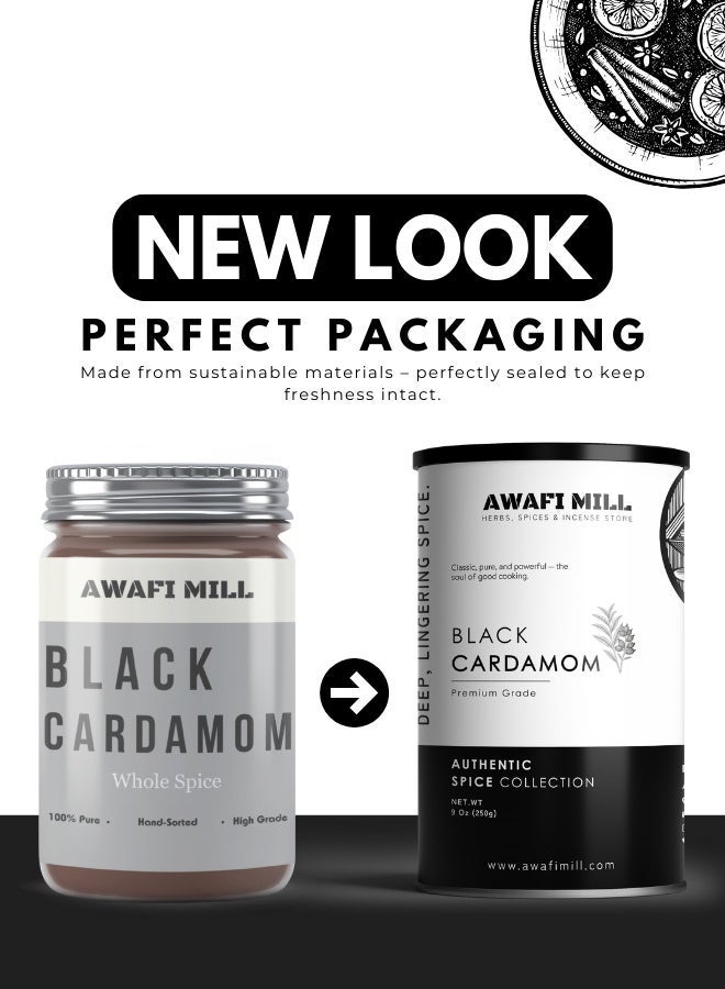 أباميك مطحنة عوافى - هيل أسود (قرون كاملة) | بادي إيليشي | أموموم سوبولاتوم | دخاني داكن، كافور - 250 غرام | 9 أونصة - Image 2