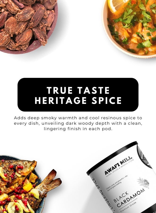 أباميك مطحنة عوافى - هيل أسود (قرون كاملة) | بادي إيليشي | أموموم سوبولاتوم | دخاني داكن، كافور - 250 غرام | 9 أونصة - Image 4