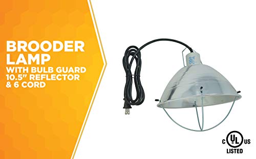 Woods 0165 Brooder Lamp with Bulb Guard;10.5 Inch Reflector and 6 Foot Cord (250 Watt; 18/2 SJTW); 0 - Image 3