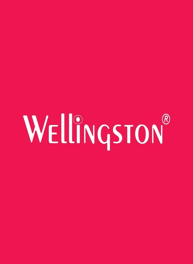 WELLINGSTON Diecast Aircraft Model - 16 Cm Scale, Highly Detailed Display Decor for Collectors_New (Air India) - Image 4