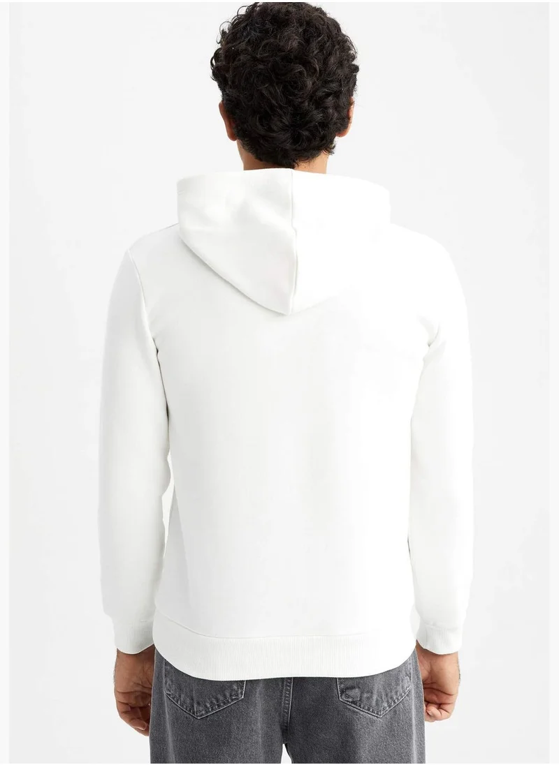 DeFacto Man Hooded Knitted Sweatshirt