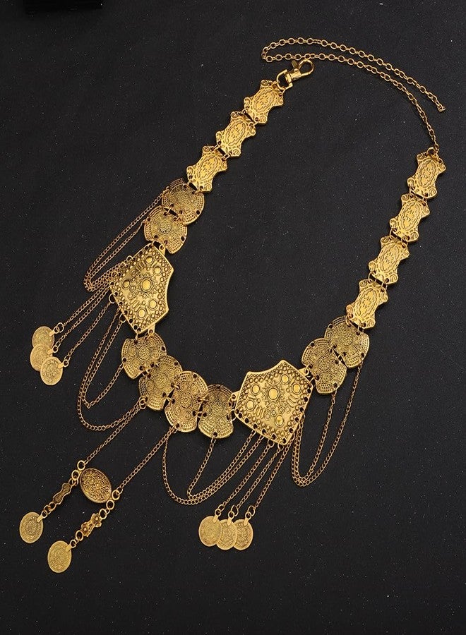 Wiwpar Women Gold Waist Chain Belt Coin Pendent Tassel Long Belt Body Belly Jewelry for Dresses Jeans Summer Beach Body Waist Chain Jewelry for Ladies (Gold) - Image 4