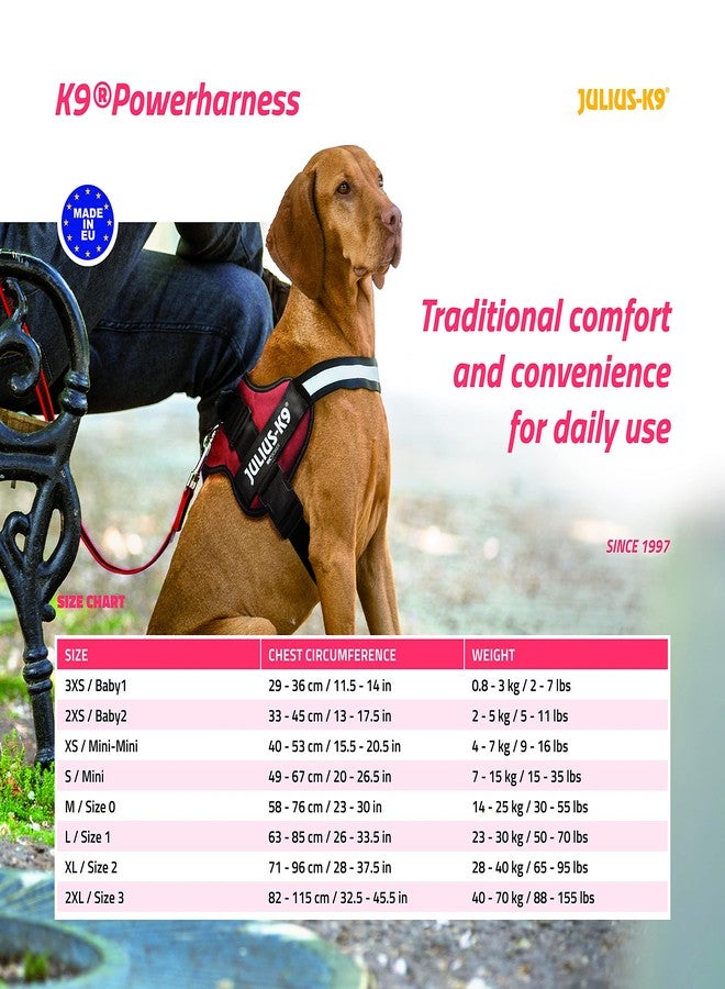 جوليوس كيه 9 حزام K9 Powerharness، المقاس: صغير جدًا، كيوي - Image 2