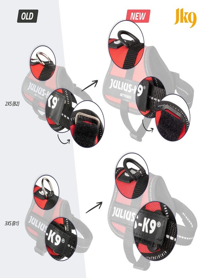 جوليوس كيه 9 حزام K9 Powerharness، المقاس: صغير جدًا، كيوي - Image 3