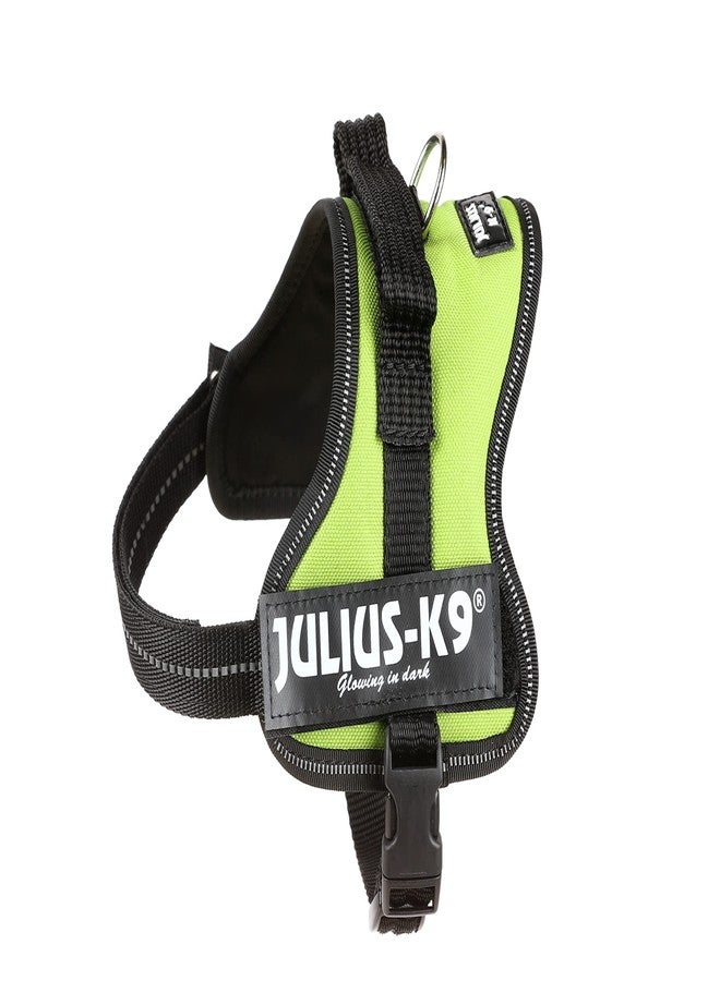 جوليوس كيه 9 حزام K9 Powerharness، المقاس: صغير جدًا، كيوي - Image 5