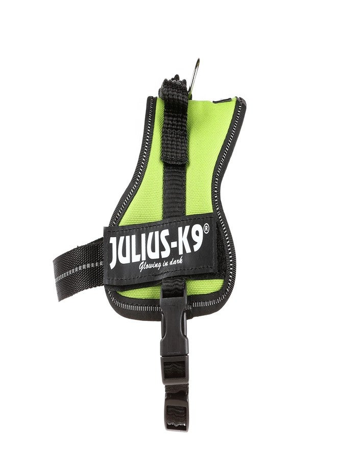 جوليوس كيه 9 حزام K9 Powerharness، المقاس: صغير جدًا، كيوي - Image 1