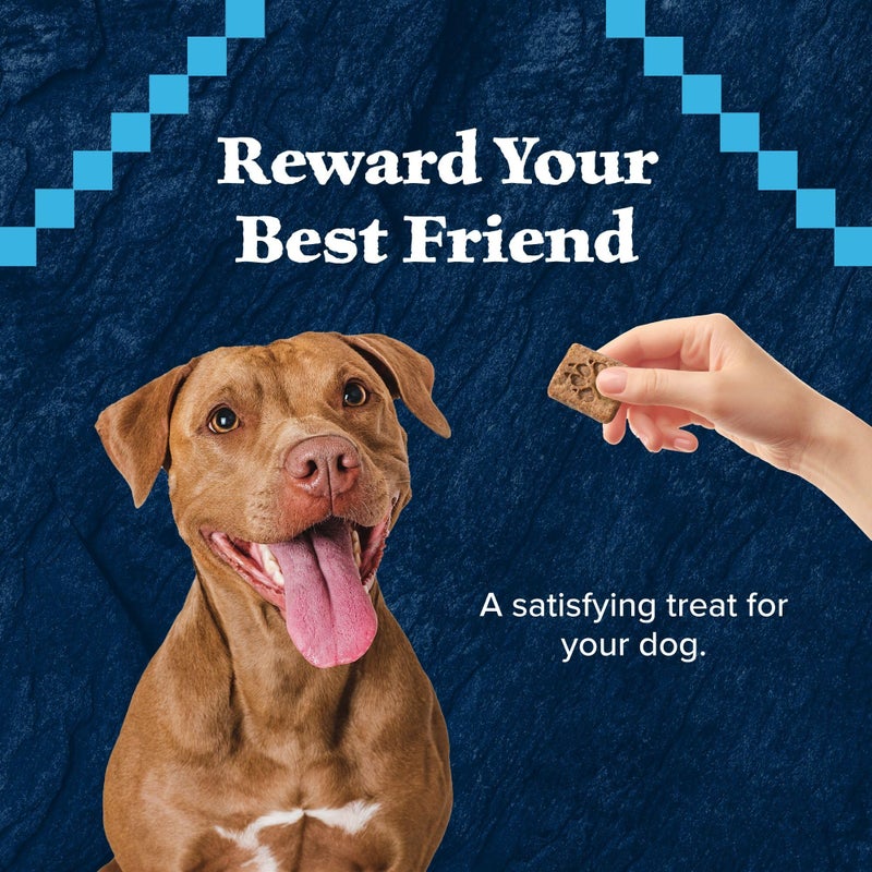 Blue Buffalo Wilderness Trail Treats Crunchy Dog Biscuits, Grain-Free and High-Protein Dog Treats Made with Natural Ingredients, Salmon Recipe 24-oz Bag - Image 3