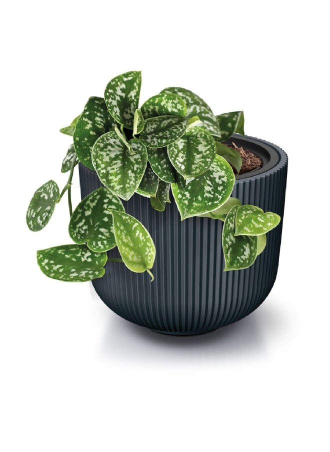 Prosperplast - Milly Modern Design Round Flower Pot Anthracite 31 L DBML400-S433 - Image 1
