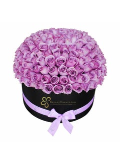 Mauve Purple Roses In A Black Flower Box Luxurious - pzsku/Z43FCCA3CBC7A8EE5ADB1Z/45/_/1729574776/bca8fc50-735e-4cf7-8e87-562dd0ade1ad