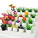 FFNIU 26Pcs Dollhouse Plant Miniature Bonsai Plant Mini Potted Plants Flower for Dollhouse Decoration Christmas Birthday Present DIY - Image 2