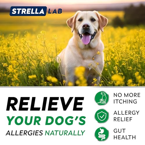StrellaLab Dog Allergy Relief & Anti Itch Support Chews w/Omega 3: Real Ingredients, Real Taste! Skin & Coat Immune Supplement w/Fish Oil, Pumpkin & Enzymes — Developed by Experts - Made in USA -120Ct - Image 4