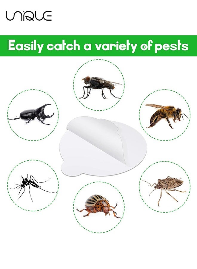 Unique Refill Glue Boards 24 Pcs 4.3 Inches Sticky Glue Pads Fits for Katchy, for Fenun and Other Models Indoor Insect Fly Mosquito Trap Bug Catcher Mosqusito Lamp, Flea Trap Refill - Image 4