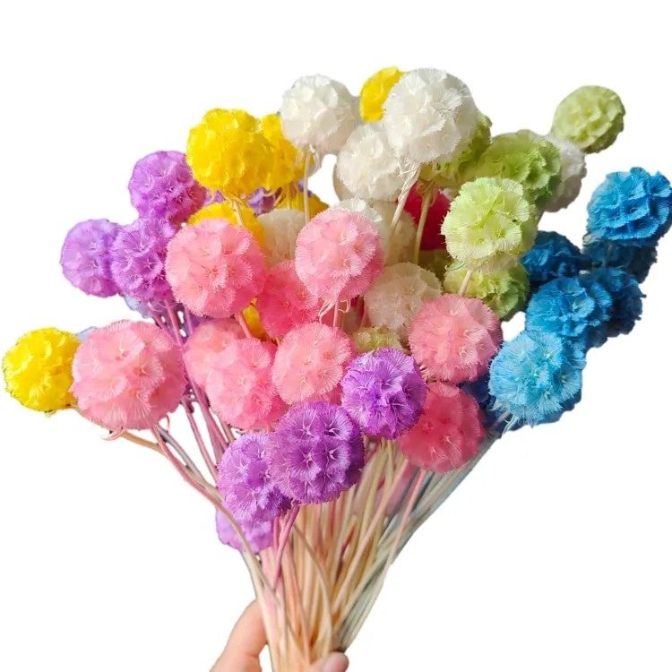 Bluejw Preserved Flower Morning Bride Bunch – 10 Stems of Natural Dried Plants for Wedding, Home, Office & Party Decorations - Image 2