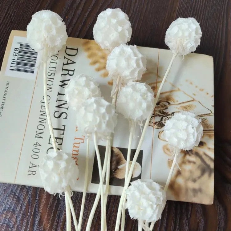 Bluejw Preserved Flower Morning Bride Bunch – 10 Stems of Natural Dried Plants for Wedding, Home, Office & Party Decorations - Image 3