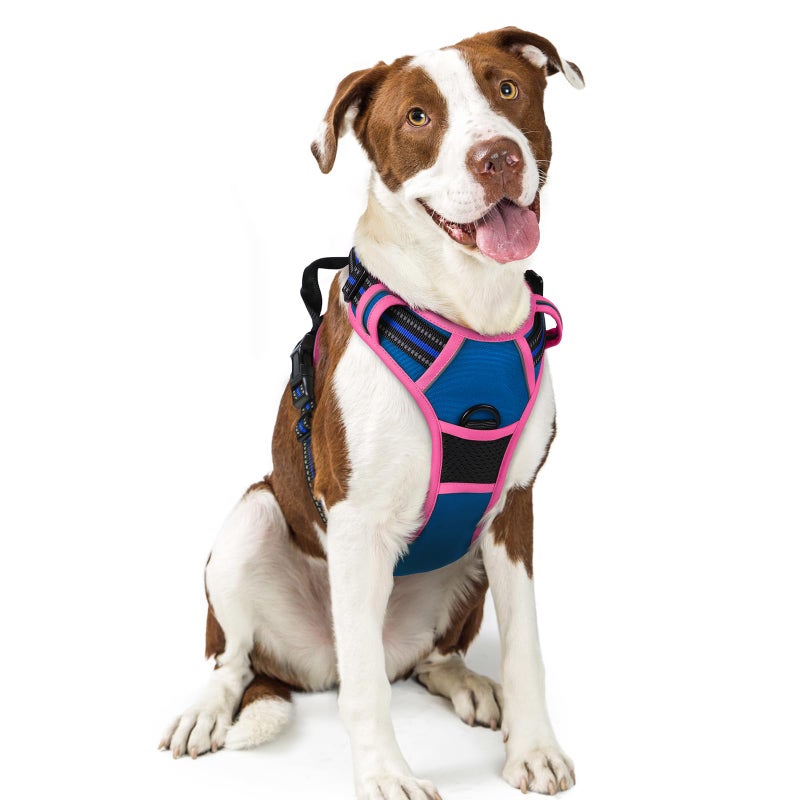 rabbitgoo Dog Harness No Pull with 2 Leash Clips, Adjustable Soft Padded, Reflective Oxford No Choke Pet Vest with Easy Control Handle for Large Dogs, Blue & Hot Pink, L - Image 1
