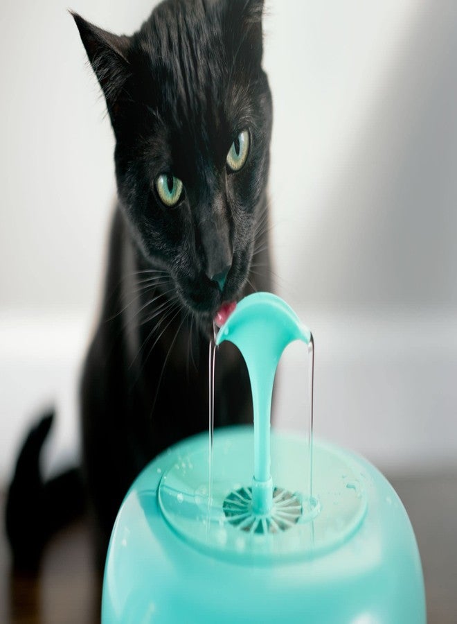 نافورة مياه IntelliLeash PURRoducts المثالية للقطط والكلاب الصغيرة، مزودة بفلتر ممتاز من 5 طبقات يدوم حتى شهرين. تصميم مقاوم للانسكاب والتناثر. خاصية الإيقاف التلقائي عند انخفاض مستوى الماء. - Image 5