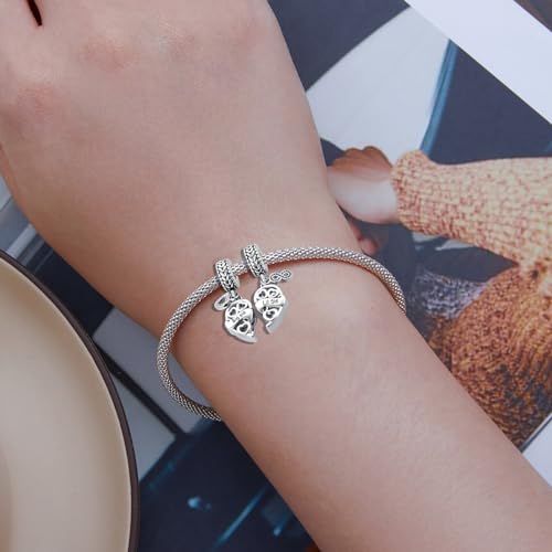 QeenseKc Big Sister Little Sister Matching Heart Charm for Pandora Bracelet Necklace Infinity Bead Set 2 Christmas Gift - Image 4