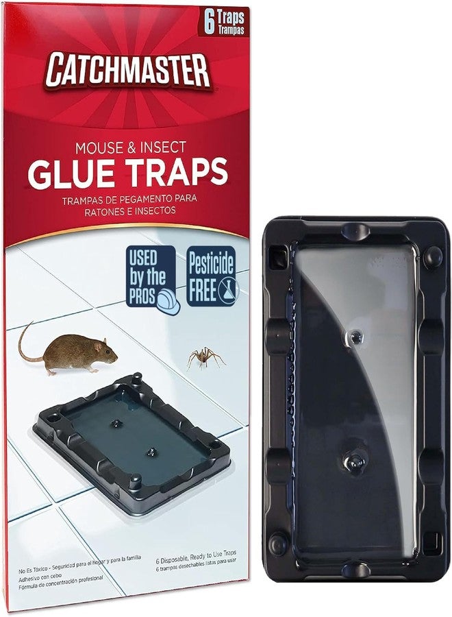 Catchmaster Mouse & Insect Glue Traps - 6 Rodent Pre-Baited Trays, Ready to Use Indoors. Bug Sticky Adhesive Killer Exterminator Easy No-Mess Non-Toxic - Made in The USA - Image 1
