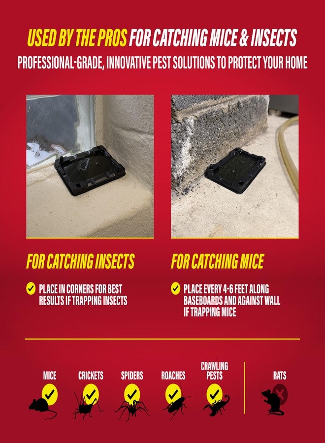 Catchmaster Mouse & Insect Glue Traps - 6 Rodent Pre-Baited Trays, Ready to Use Indoors. Bug Sticky Adhesive Killer Exterminator Easy No-Mess Non-Toxic - Made in The USA - Image 4