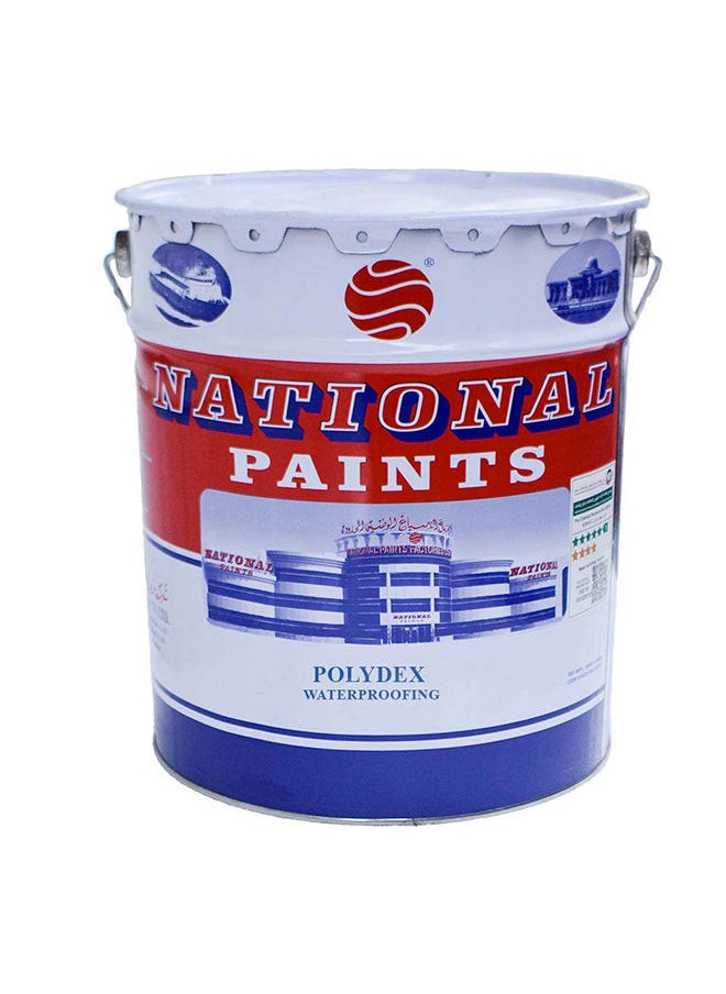NATIONAL PAINTS - National Polydex Waterproofing Acrylic Copolymer Emulsion Based White  3.6L - Image 1