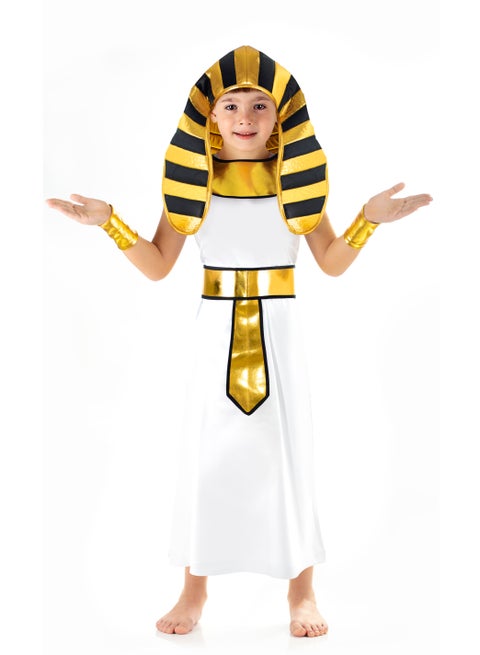 زي تنكري فرعوني للاولاد