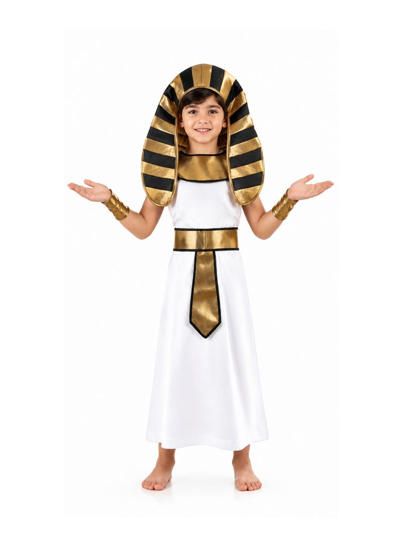 costumax Pharaonic Costume For Boys - Image 1