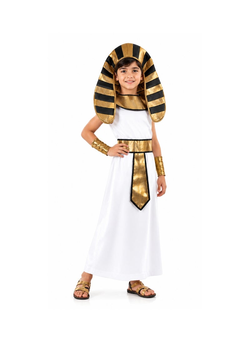 costumax Pharaonic Costume For Boys - Image 2