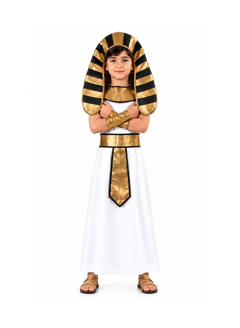 costumax Pharaonic Costume For Boys - Image 3