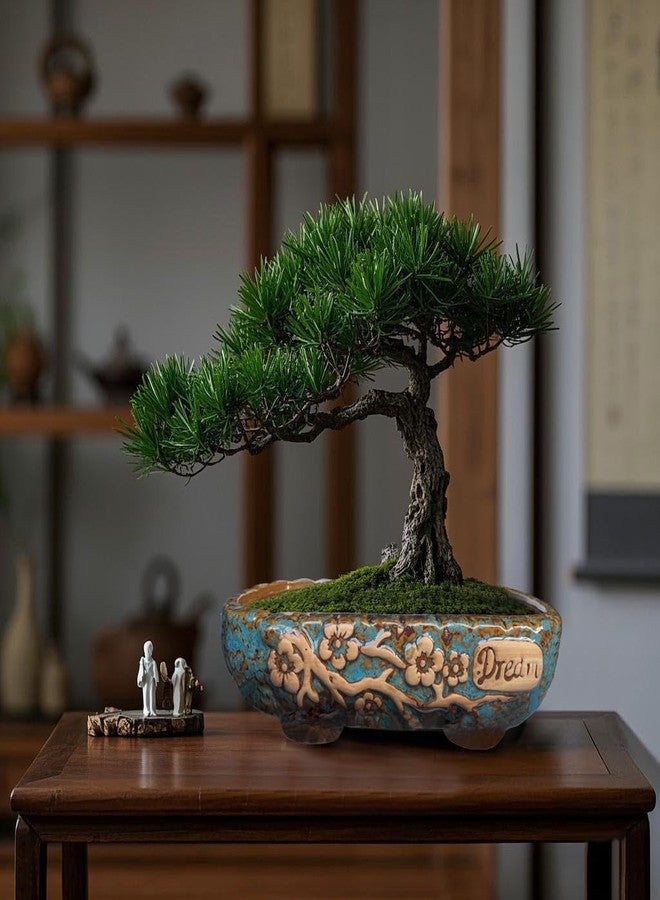 MUZHI 9.7” Rectangular Ceramic Rustic Bonsai Planter Pots with Drip Tray, Glazed Vintage Wide Mouth Shallow Pottery Bonsai Flower Planter Pots with Saucer - Image 5